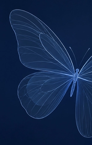Dark background graphic with butterfly